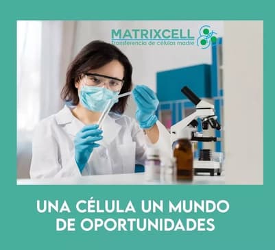 Slider image (3) MatrixCell